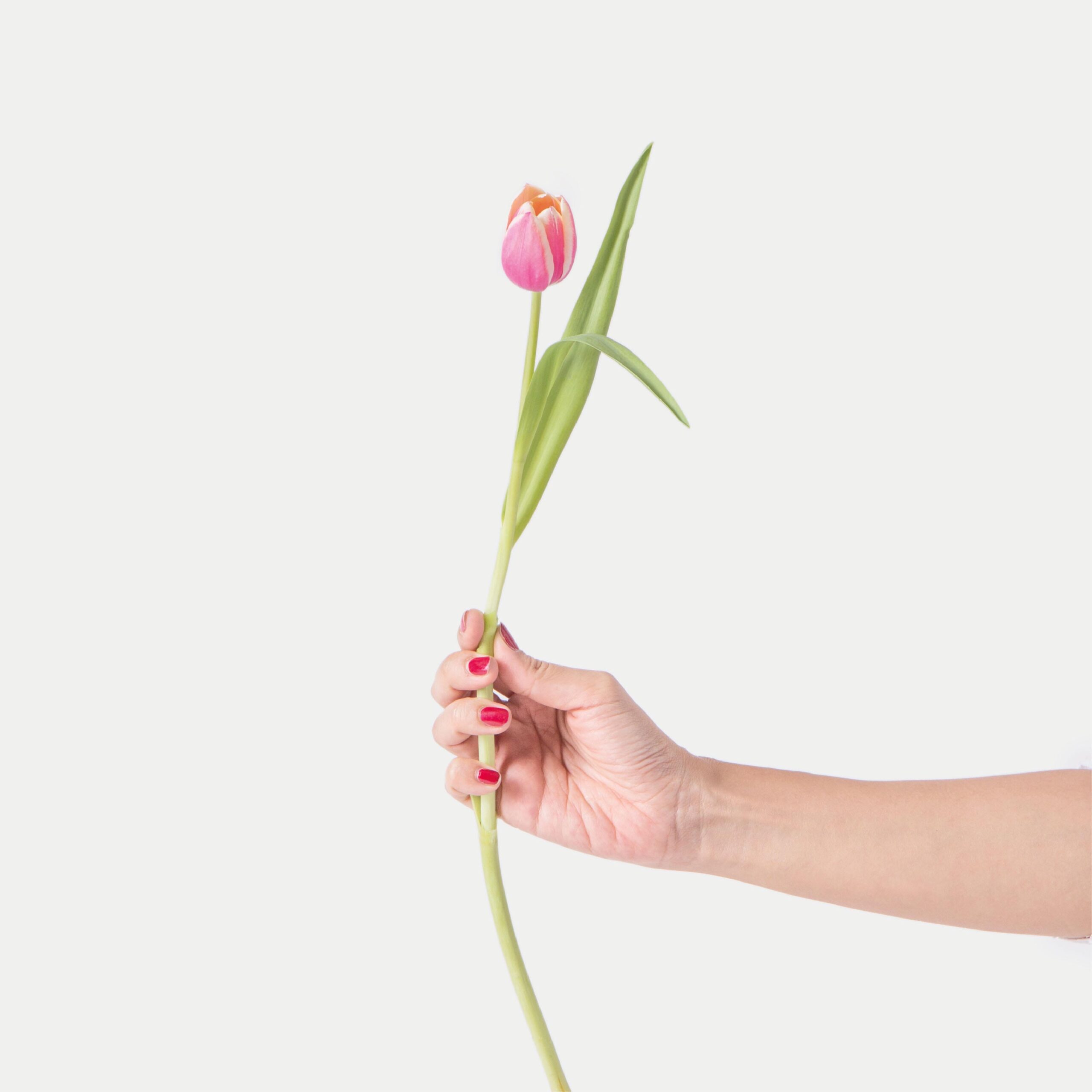 Eufloria