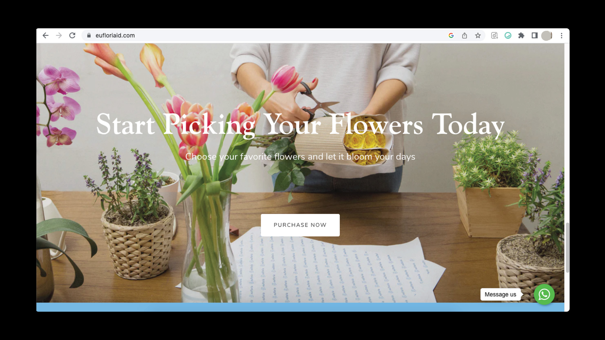 Eufloria