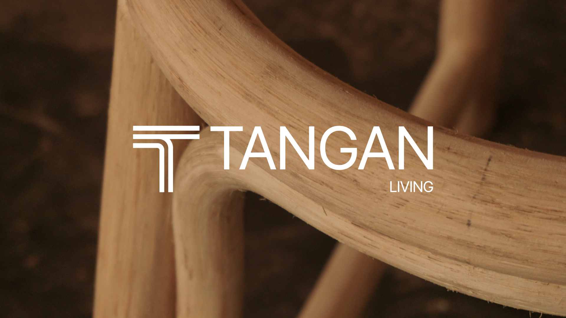 TANGAN: From Hand to Home